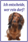 Preview: Hundeschild mit Dackel